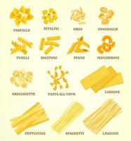 italiano pasta tipi o ordina vettore icone