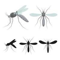 insetto zanzara isolato vettore