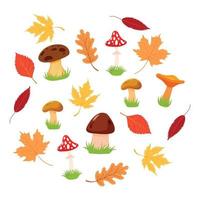 autunno le foglie impostare. carino diverso foglie, funghi. autunno di stagione elementi vettore illustrazione