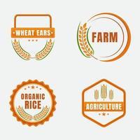 azienda agricola logo collezione. riso logo. Grano logo. agricoltura logo vettore