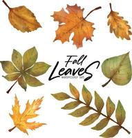 autunno le foglie acquerello impostato vettore