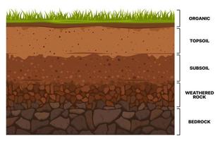 suolo strato infografica, terra sottosuolo struttura vettore