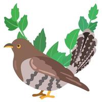 cuculo foresta uccello. mano disegnato vettore illustrazione. adatto per sito web, adesivi, regalo carte, bambini prodotti.