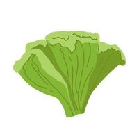 lattuga, verde foglie, mazzo di insalata vettore illustrazione, sfondo. uno linea disegno arte illustrazione con lettering biologico lattuga.