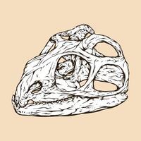 tuatara cranio testa vettore illustrazione