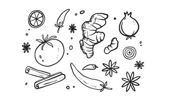 impostato di illustrazione di verdure e condimenti modello nel mano disegnato design. vettore