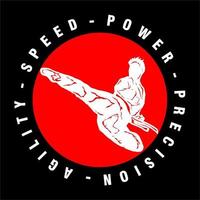 vettore del logo del taekwondo