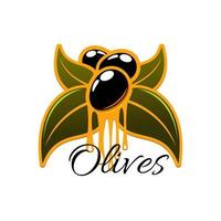 fesh olive e oliva olio vettore icona