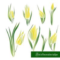 impostato di decorativo colore elementi, tulipani e le foglie vettore