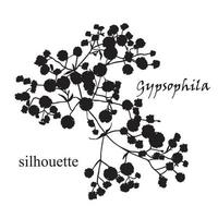 ramo di bellissimo disegnato a mano silhouette gypsophila vettore