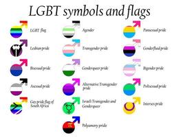 lgbt ufficiale orgoglio bandiera collezione, lesbica, gay, bisessuale e transgender . collezione di segni per persone di diverso sessuale orientamenti. vettore