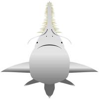 pesce sega o falegname squalo è maggiore pesce con lungo, stretto, appiattito rostro, o naso estensione, foderato con acuto trasversale denti, somigliante sega. vettore illustrazione isolato su bianca.