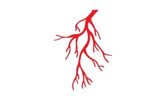 illustrazione di vene e arterie umane vettore