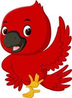 cardinale uccello cartone animato vettore