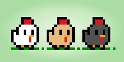 Collezione di pollo a 8 bit pixel. animali per le risorse di gioco nell'illustrazione vettoriale. vettore