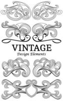 impostato di Vintage ▾ floreale elementi per design. vettore