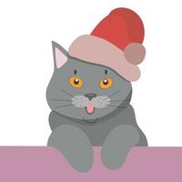 Natale Britannico capelli corti gatto animale carino viso. vettore contento argento Britannico gattino testa ritratto. realistico pelliccia ritratto di Britannico bottaio occhi gattino isolato su grigio sfondo.