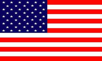 bandiera degli stati uniti d'america. vettore