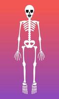 scheletro grafico logo vettore