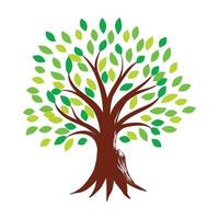 biologico naturale e salutare oliva albero silhouette logo isolato su bianca sfondo. moderno vettore verde pianta icona cartello design opera d'arte. premio qualità olio Prodotto logotipo piatto emblema illustrazione.