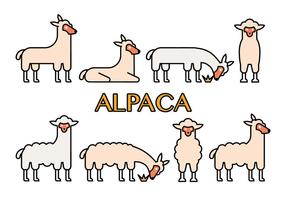 Icone vettoriali di alpaca