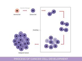 illustrazione di processi di cancro cellula sviluppo vettore