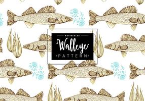 Modello Walleye gratuito vettore