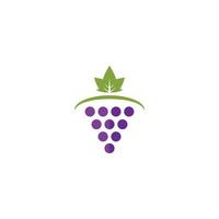 mazzo di vino uva con foglia icona vettore