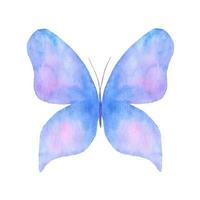 acquerello farfalla isolato su bianca sfondo. blu mano dipinto illustrazione vettore