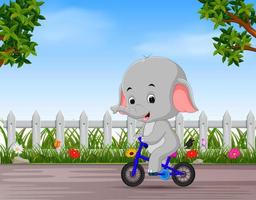 divertente elefante Ciclismo nel il strada vettore