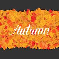 autunno le foglie autunno isolato sfondo. d'oro autunno manifesto modello. vettore illustrazione eps10
