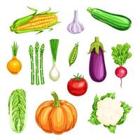 verdura acquerello icona di biologico azienda agricola verdure vettore