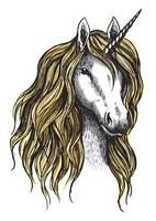 unicorno cavallo mistico Magia animale vettore schizzo