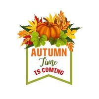 autunno tempo acero foglia o zucca vettore manifesto