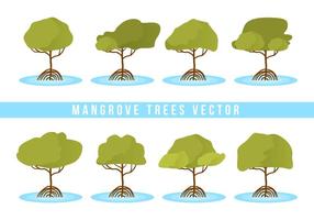 Vettore gratuito di alberi di mangrovie