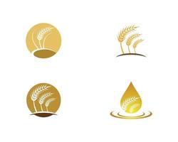immagini del logo di grano agricoltura vettore