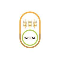 disegno del logo del grano vettore