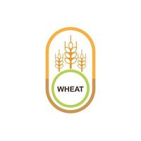 disegno del logo del grano vettore