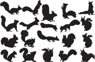 il impostato di scoiattolo silhouette collezione vettore