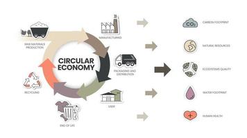 circolare economia Infografica diagramma ha 6 passaggi per analizzare come come produzione, confezione e distribuzione, utente, fine di vita, raccolta differenziata e crudo Materiale produzione. ecologia e ambiente concetto vettore