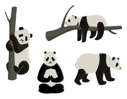 panda in diverse pose vettore