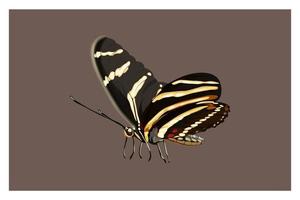 bellissimo disegno a mano farfalla cartone animato vettore