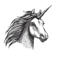 unicorno vettore schizzo mistico Magia cavallo