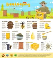 miele apicoltura vettore infografica