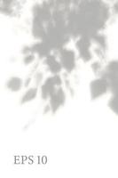 trasparente naturale pianta ombra. leggero effetto sovrapposizione. maglia griglia. presentazione il tuo design carta, manifesto, storie foto realistico illustrazione vettore