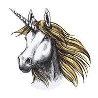 unicorno cavallo Fata racconto animale vettore schizzo