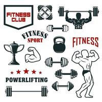 fitness sport club, Palestra e bodybuilding icona impostato vettore