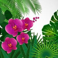 sfondo di disegno floreale. fiori di orchidea. vettore