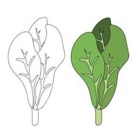 spinaci fresco succoso crudo le foglie isolato su bianca sfondo. salutare dieta, vegetariano cibo. elemento per cucinando cibo design. vettore illustrazione.