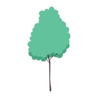 albero vegetazione fogliame foresta isolato icona design bianca sfondo vettore
